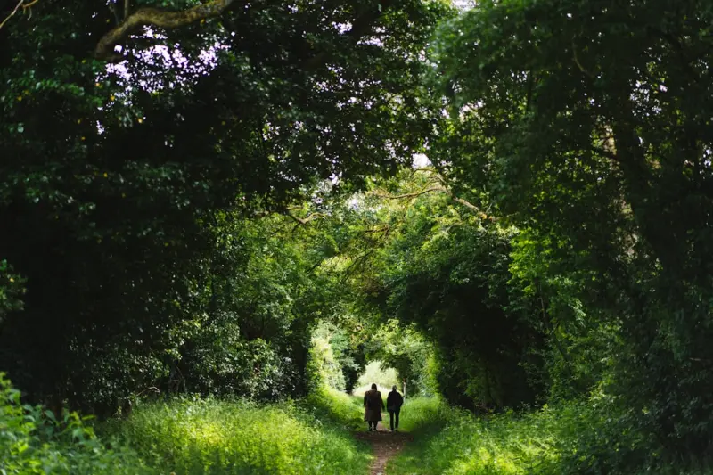 Forest Bathing for Seniors: A Gentle Path to Vitality and Calm - Your Health Directory