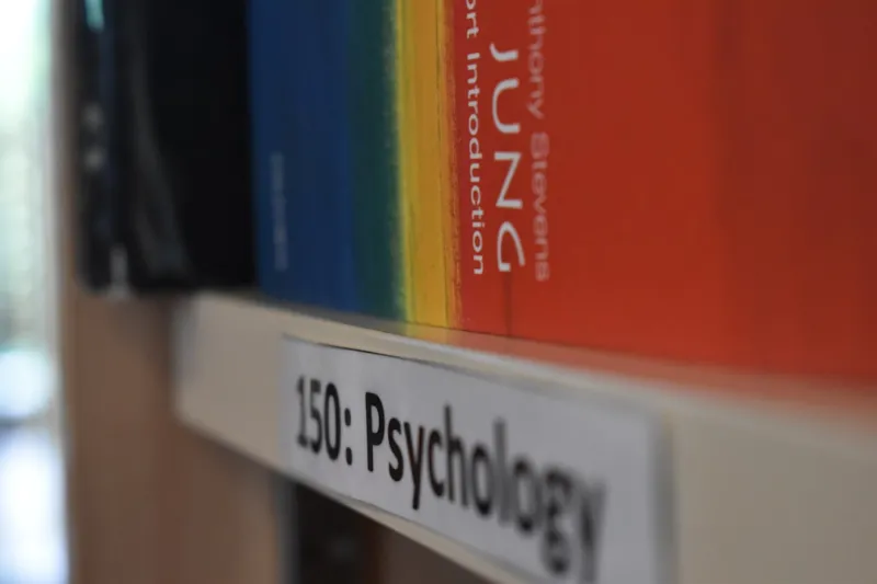 Navigating Narcolepsy: A Holistic Approach to Understanding and Managing the Condition