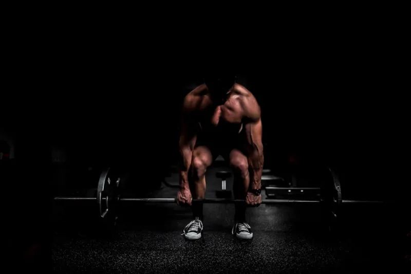 Holistic Muscle Gain: A Whole‑Body Blueprint for Sustainable Strength Holistic Muscle Gain: A Whole‑Body Blueprint for Sustainable Strength