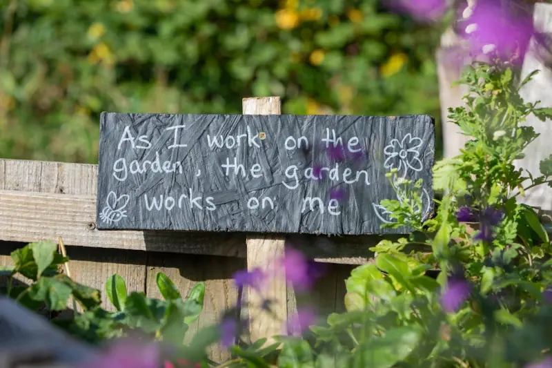 Cultivating a Mental Garden: Small Daily Practices for Resilience