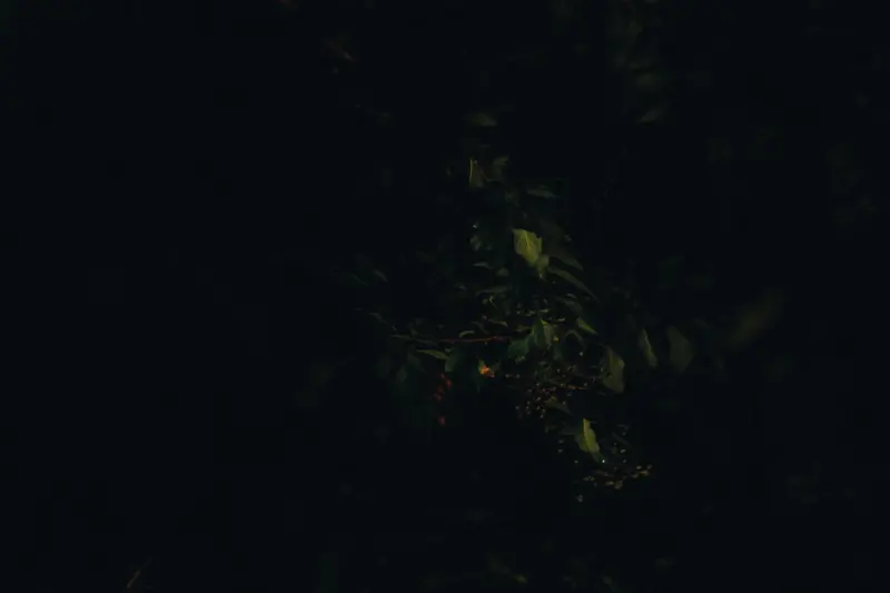 When the Dark Turns Violent: A Fresh Lens on Sleep Terrors