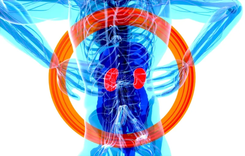 Liver Health and Chronic Conditions: A Holistic Approach