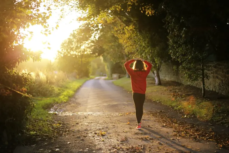 Building a Sensory Sanctuary: Simple Tools to Calm the Mind