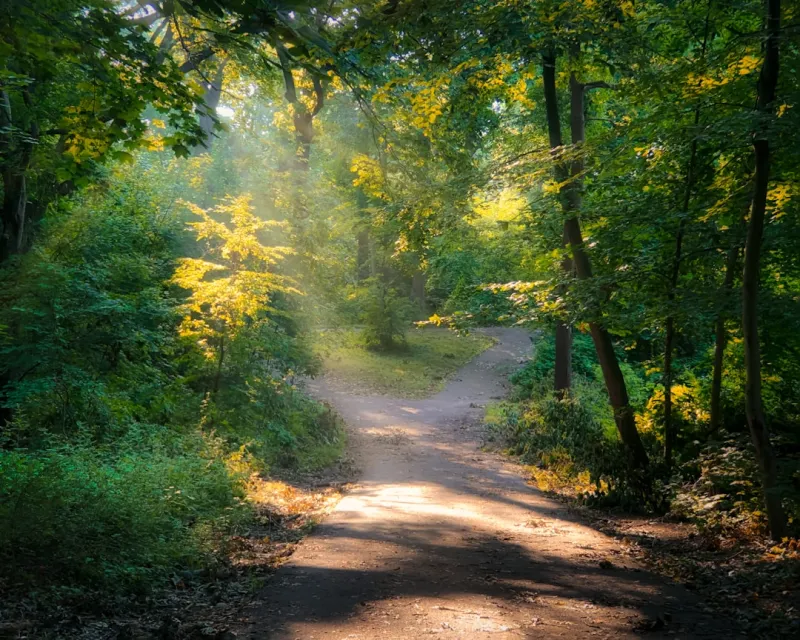 Holistic Healing Paths for Cancer: My Journey to Empowered Wellness
