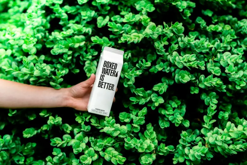 Beyond the Detox: Building a Liver‑First Lifestyle for Sustainable Health - Your Health Directory
