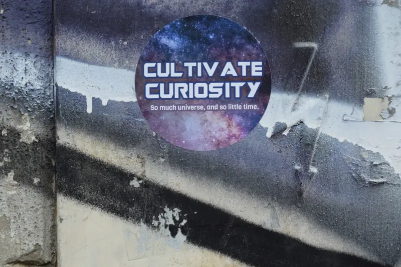 Curiosity as the Fountain of Youth: Learning New Skills for Healthy Aging