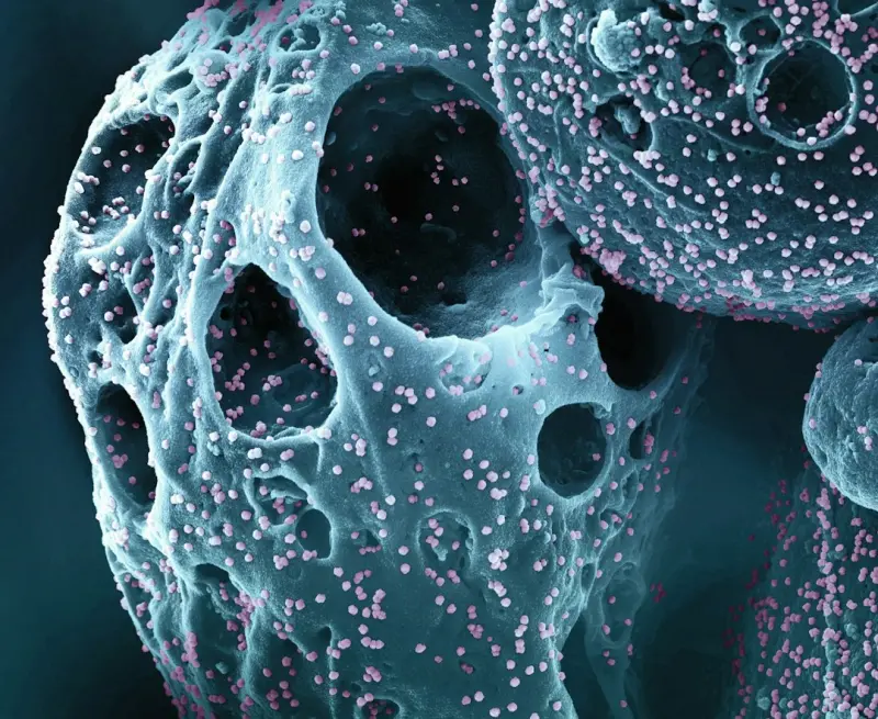 When Cells Talk Back: Redefining Cancer Care Through Real‑Time Feedback - Your Health Directory