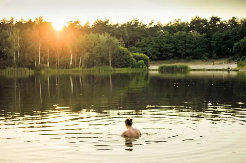 Forest Bathing for Seniors: Nature’s Gentle Prescription for Longevity - Your Health Directory