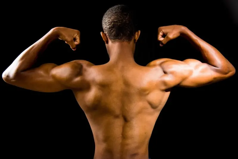 Reimagining Muscle Gain: A Play‑Based Blueprint for Sustainable Strength Reimagining Muscle Gain: A Play‑Based Blueprint for Sustainable Strength