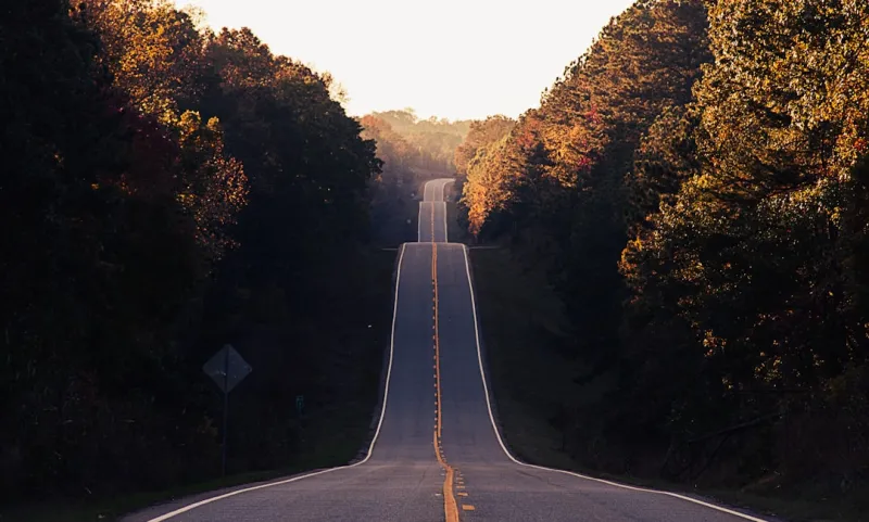 Navigating Autoimmune Disease: A Holistic Roadmap to Everyday Resilience