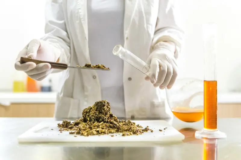 Culinary Chemistry: Unlocking Hidden Nutrients Through Smart Cooking - Your Health Directory