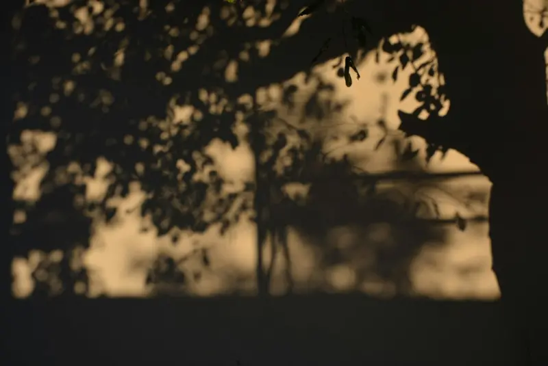 When the Night’s Shadows Spark Unexpected Light - Your Health Directory