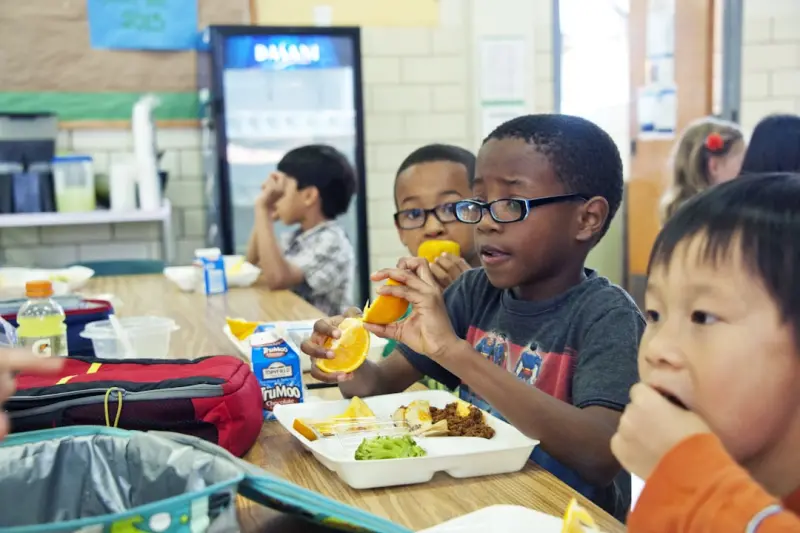 Playful Nutrition: Designing Meals That Teach Your Body