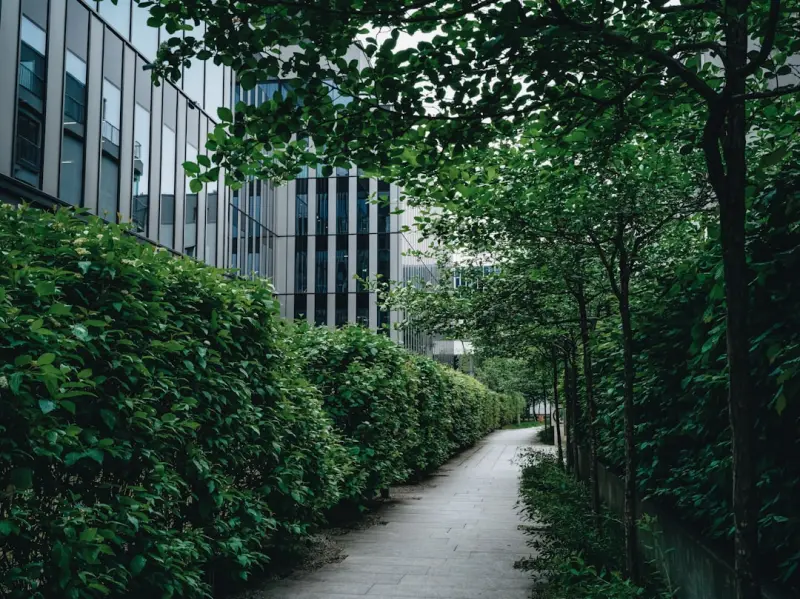 Design Your Environment: The Hidden Path to Sustainable Weight Loss