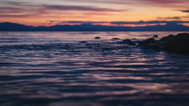 Turn Up the Volume on Health: How Soundscapes Can Calm Your Blood Pressure - Your Health Directory