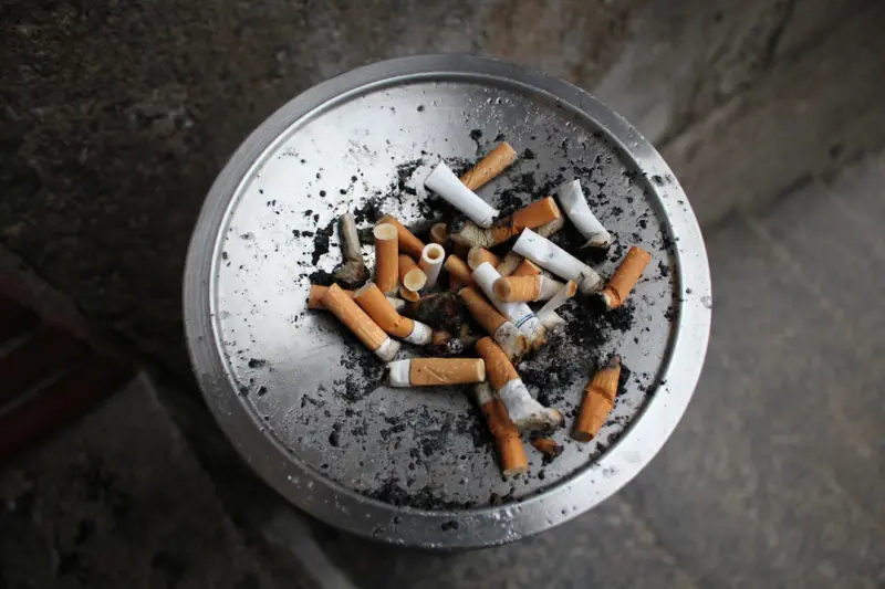 Rethinking Nicotine: A High‑Performance Playbook for Smokes and Vapes - Your Health Directory Rethinking Nicotine: A High‑Performance Playbook for Smokes and Vapes - Your Health Directory